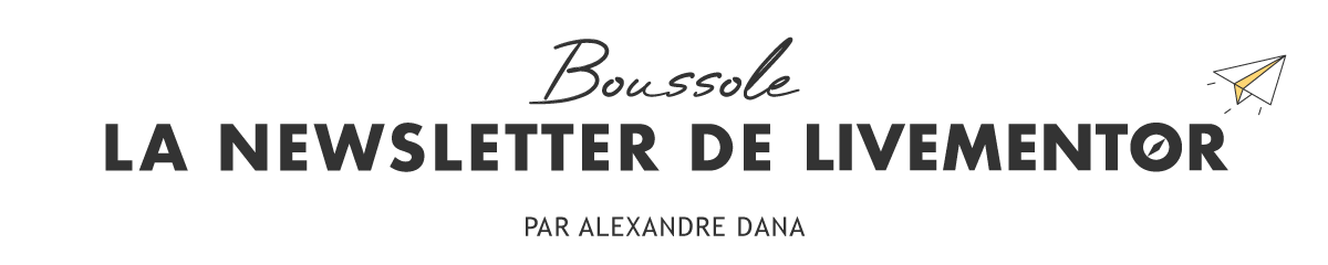 LiveMentor Newsletter Header 1200